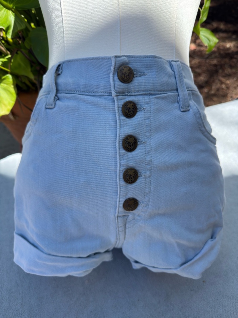 Wildfox High-Waist Light Blue Button-Front Women’s Shorts